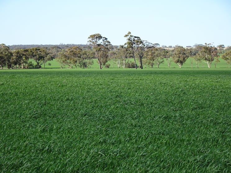 Click to view all images 1103 Bullaring - Gorge Rock Road Bullaring WA 6373 - Image 3