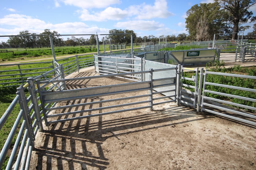 Click to view all images 202 Malones Road Naracoorte SA 5271 - Image 3