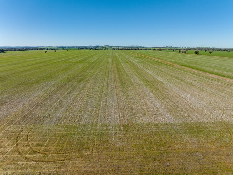 Click to view all images 166 Mathews Road Downside NSW 2650 - Image 3