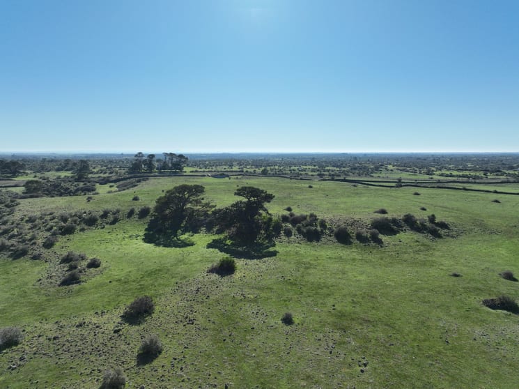 695 Beeac-Dreeite Road Dreeite VIC 3249 - Image 3