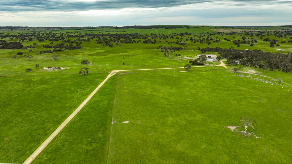 Click to view all images 3467 Riddoch Highway Willalooka SA 5267 - Image 2