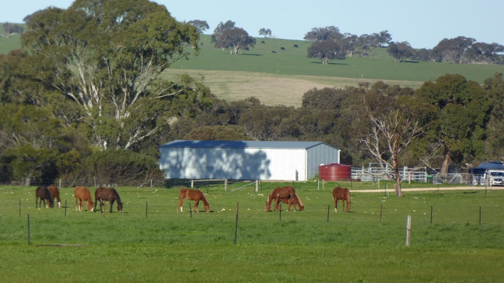 Click to view all images 3467 Riddoch Highway Willalooka SA 5267 - Image 3