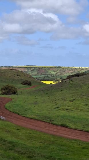 Click to view all images 800 East Bowes Road Naraling WA 6532 - Image 2