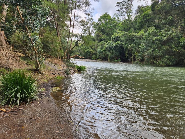 671 Tilbaroo Crossing Road Toms Creek NSW 2446 - Image 3