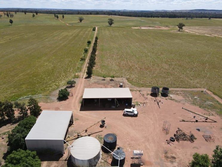 Click to view all images 893 Deaths Lane Pullabooka NSW 2810 - Image 3