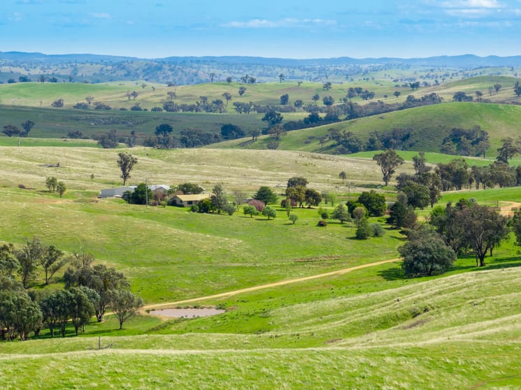 'Cronga Peak' 157 Cronga Peak Road Molong NSW 2866 - Image 2