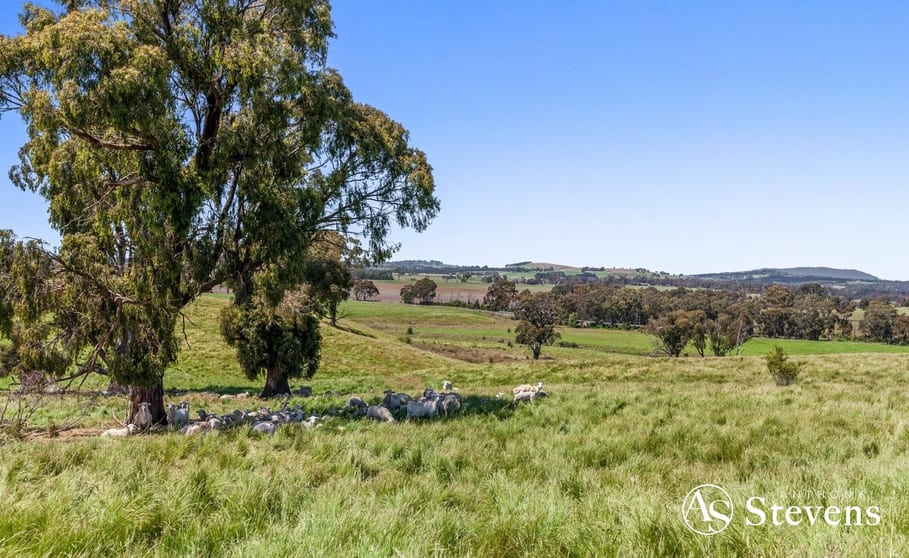 Click to view all images Lot 32 Greenways Road Lancefield VIC 3435 - Image 2