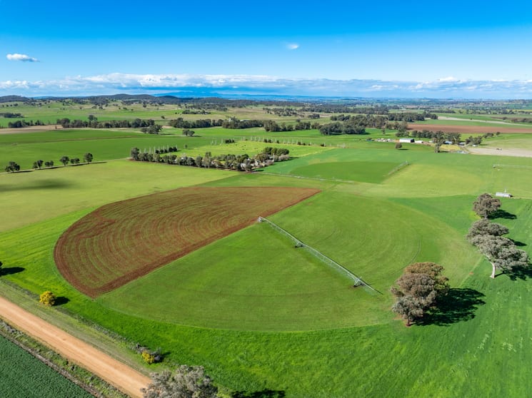 Click to view all images 164 Settlement Bridge Road Canowindra NSW 2804 - Image 2