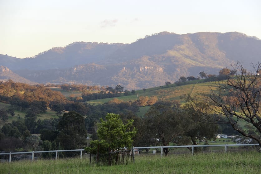 Click to view all images 12 Lorraine Street Wingen NSW 2337 - Image 3