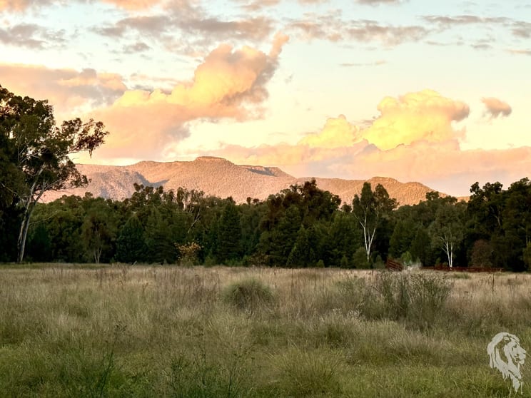 Click to view all images 2083 Kaputar Road Bullawa Creek NSW 2390 - Image 3