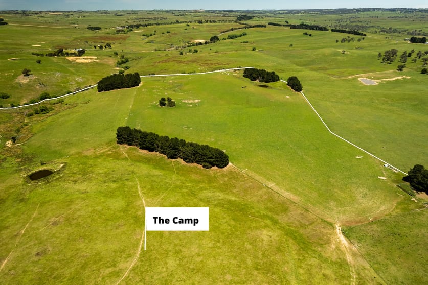 1185 Golspie Road Golspie NSW 2580 - Image 3