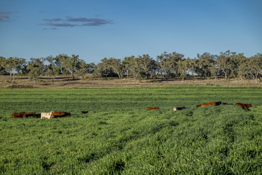 127 Flemings Road Jondaryan QLD 4403 - Image 1