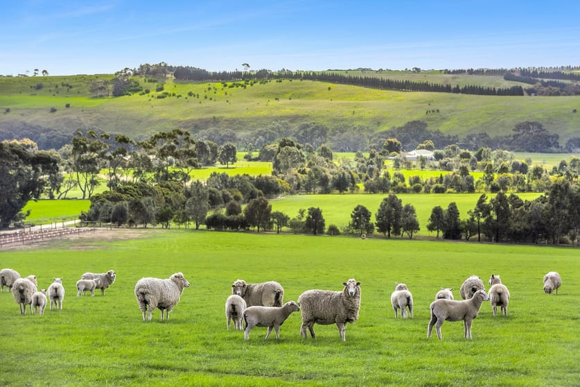 2/223 Bakers Road Russells Bridge VIC 3331 - Image 2