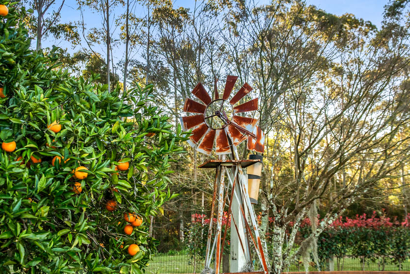 Click to view all images 813 Newmans Road Wootton NSW 2423 - Image 2