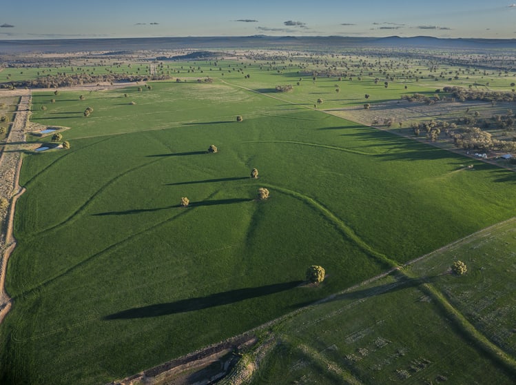 Ashford Heath 47 Adios Lane Bogan Gate NSW 2876 - Image 2