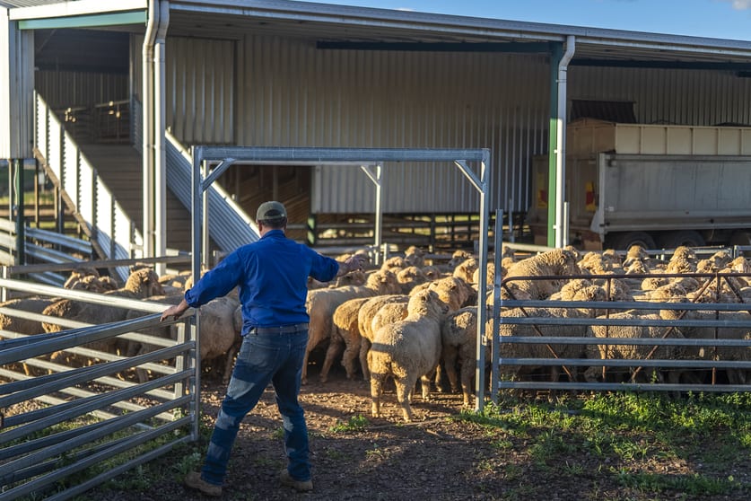 Ashford Heath 47 Adios Lane Bogan Gate NSW 2876 - Image 3