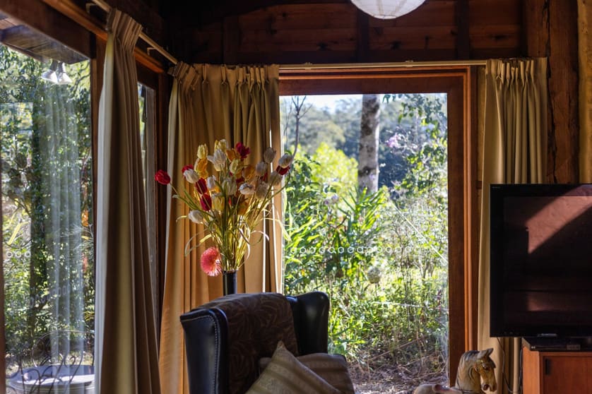 703 North Arm Road Argents Hill NSW 2449 - Image 2