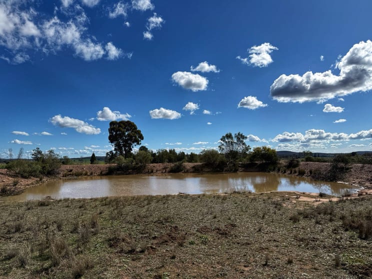 Click to view all images 'Lesdale' Clonolly Lane Trundle NSW 2875 - Image 3