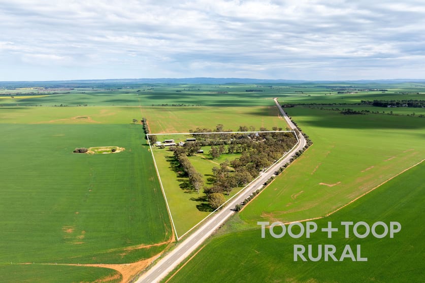 4026 Appila Road Jamestown SA 5491 - Image 3