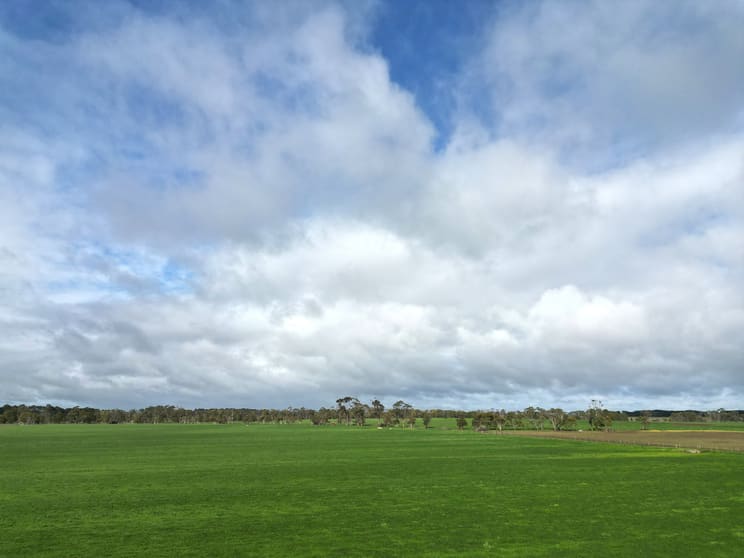 181 Cobden-Terang Road Cobden VIC 3266 - Image 3