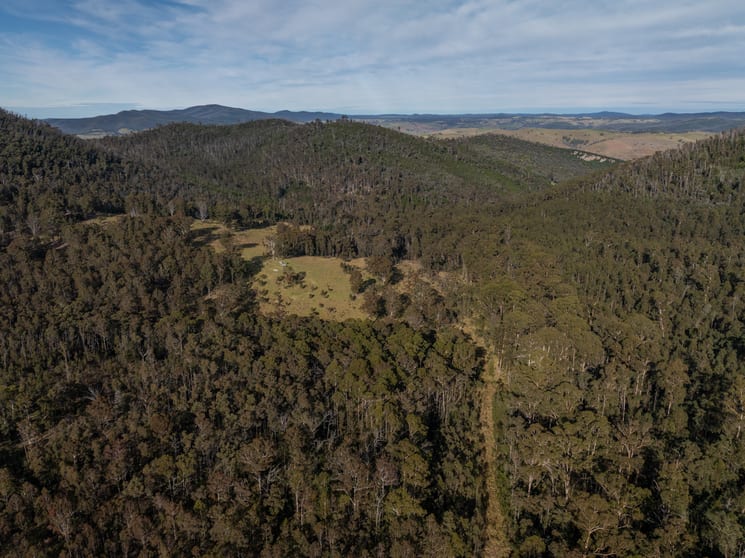 Click to view all images 3954 Tulloch Ard Road Buchan VIC 3885 - Image 3
