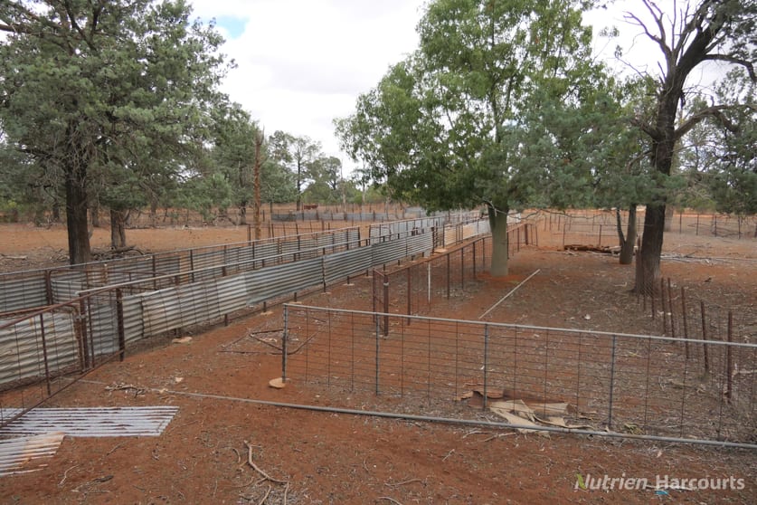 * YARRANVALE Nymagee NSW 2831 - Image 2