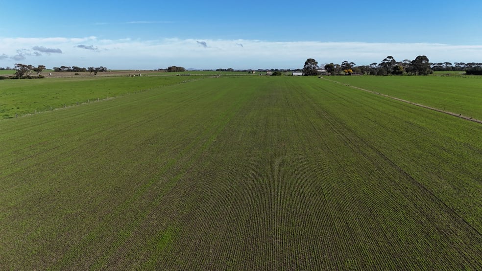 321 Larpent Road Cororooke VIC 3254 - Image 2
