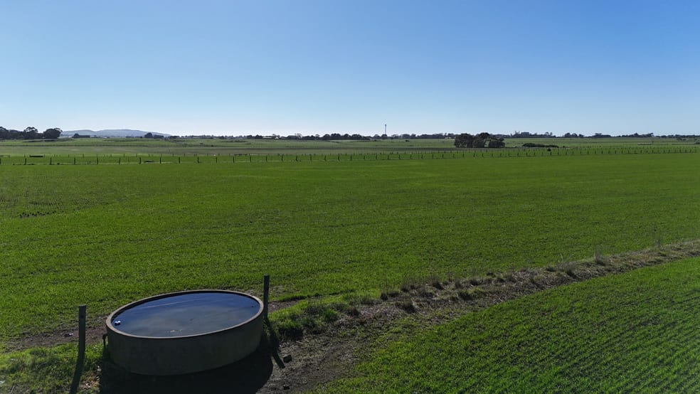 321 Larpent Road Cororooke VIC 3254 - Image 3