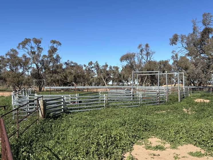 Click to view all images Cleary Road Sea Lake VIC 3533 - Image 2