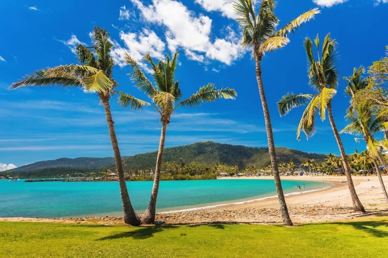 Click to view all images Management Rights business for sale in Airlie Beach - Image 1