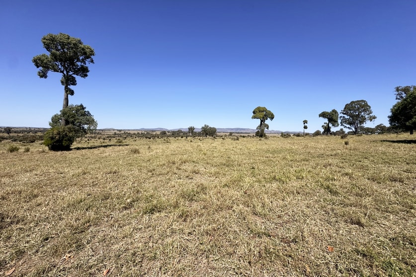 Click to view all images 450 Orange Creek Road Biloela QLD 4715 - Image 2