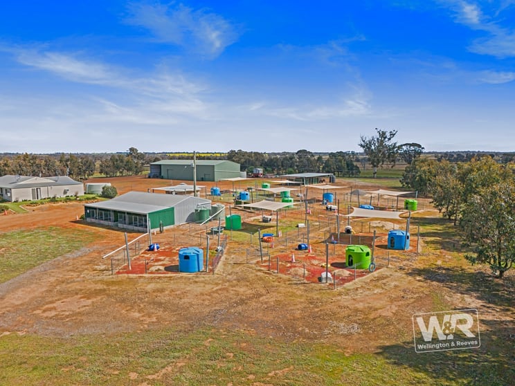 Click to view all images 261 Hale Road Beaufort River WA 6394 - Image 3