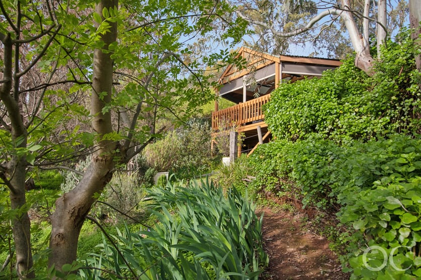 76 Turners Avenue Hawthorndene SA 5051 - Image 3