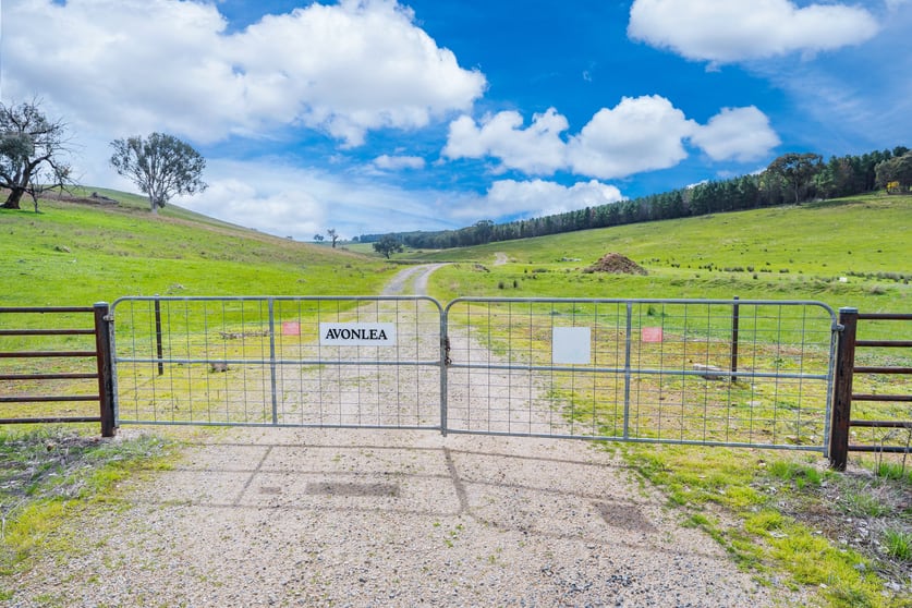 Click to view all images 1510 Culcairn Holbrook Road Morven NSW 2660 - Image 2