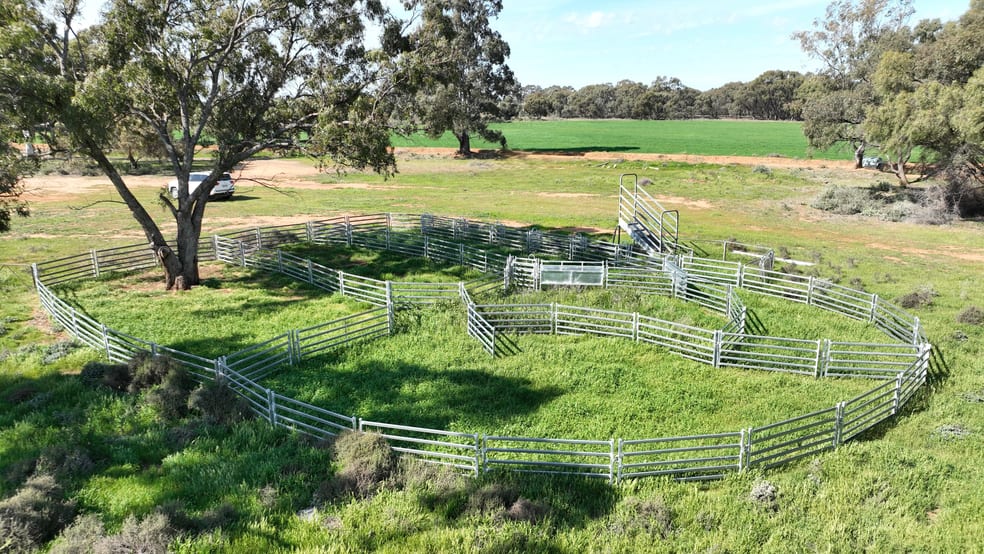 "Randleigh" Stud Park Road Deniliquin NSW 2710 - Image 3