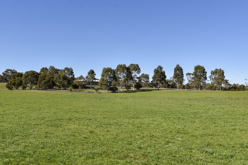 381 & 907 Pascoe Road Coonalpyn SA 5265 - Image 3
