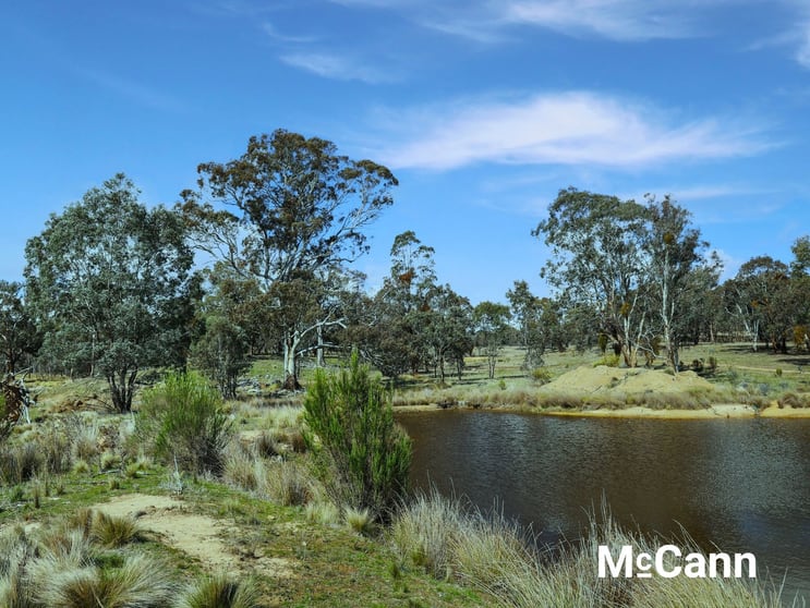 Click to view all images 2326 Rye Park Road (Broadway) Gunning NSW 2581 - Image 1