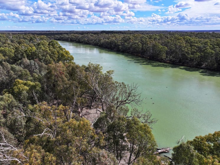 Click to view all images Box's Island Via Renmark Road Wentworth NSW 2648 - Image 3