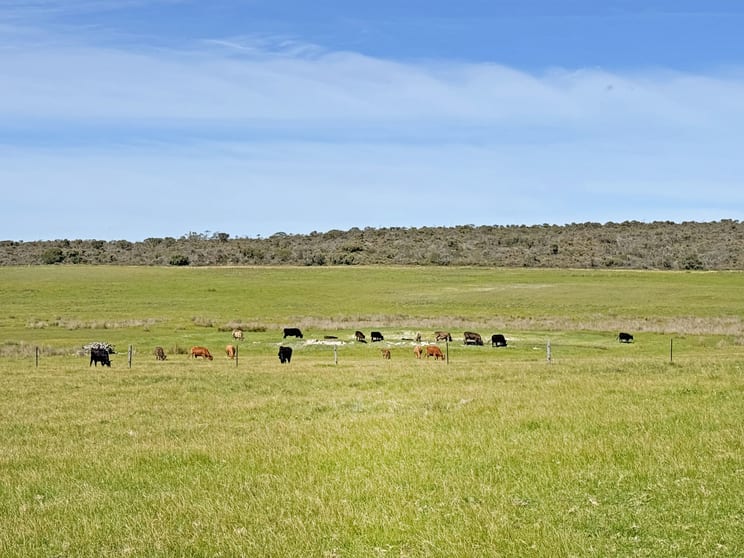 Click to view all images Lt 1 & 3 Paterson Road Monjingup WA 6450 - Image 1