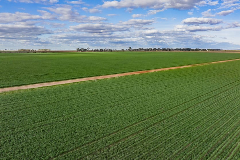 Click to view all images Glenn Road Coleambally NSW 2707 - Image 3