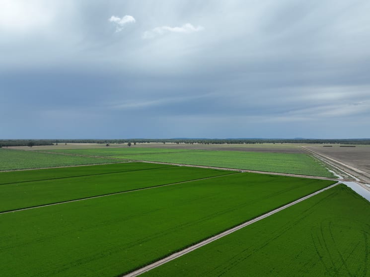 Click to view all images 10755 Sturt Highway Narrandera NSW 2700 - Image 1