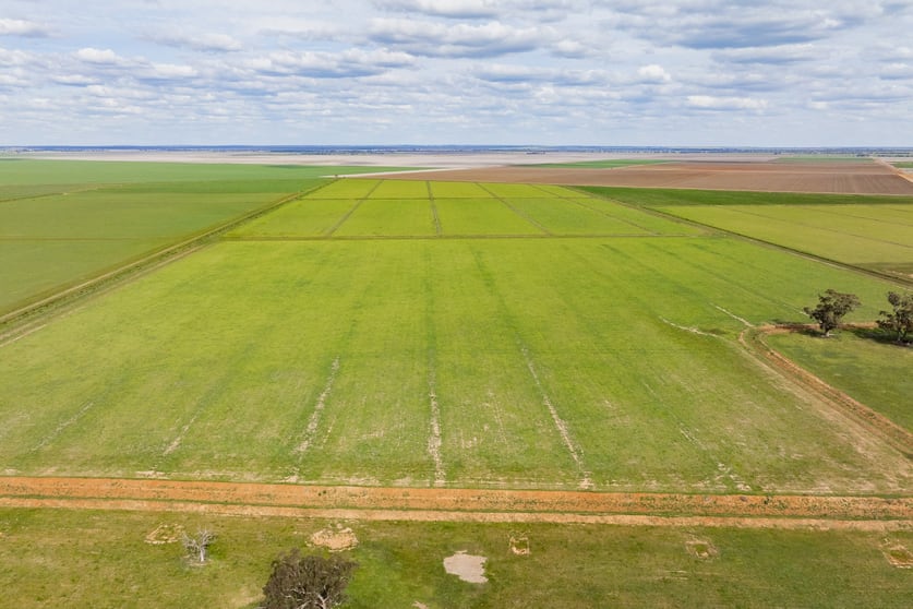 Click to view all images 10755 Sturt Highway Narrandera NSW 2700 - Image 3