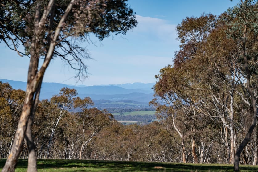 354 Cemetery Road Eldorado VIC 3746 - Image 3
