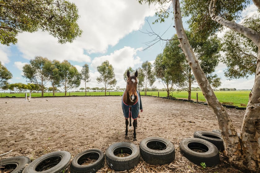 Click to view all images 3297 Traeger Rd Balaklava SA 5461 - Image 3