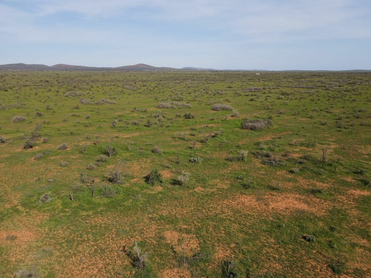 'Acacia Ridge' 511 Tapscott Rd Orroroo SA 5431 - Image 1