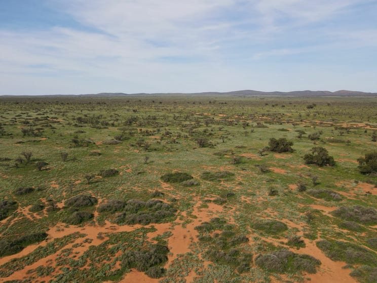 'Acacia Ridge' 511 Tapscott Rd Orroroo SA 5431 - Image 2