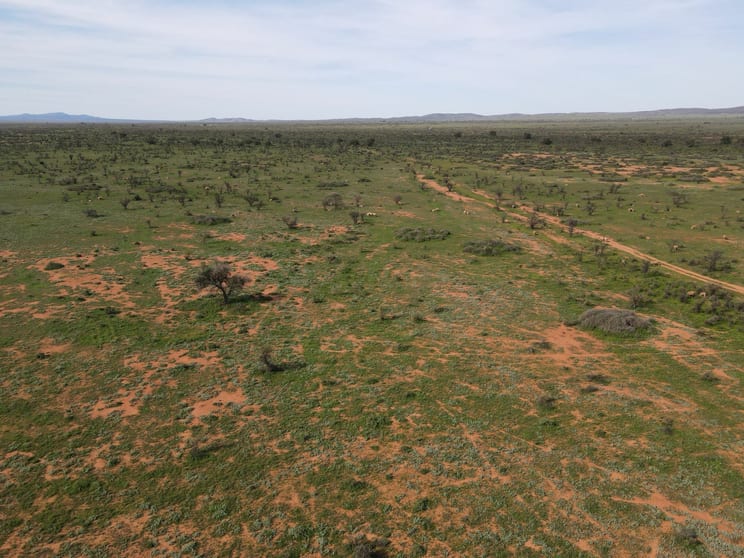 'Acacia Ridge' 511 Tapscott Rd Orroroo SA 5431 - Image 3