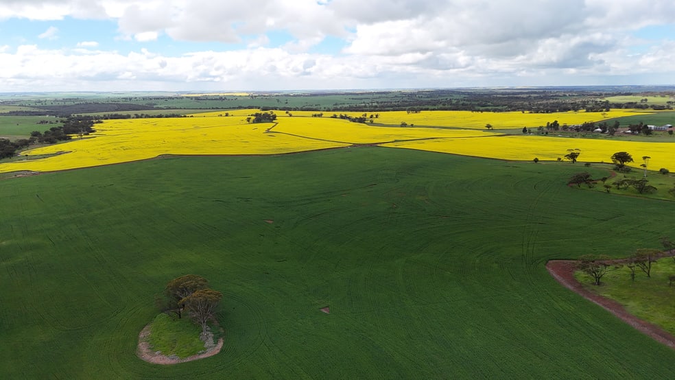 Click to view all images Kallaroo, 861 Old Geraldton Road Berkshire Valley WA 6510 - Image 2