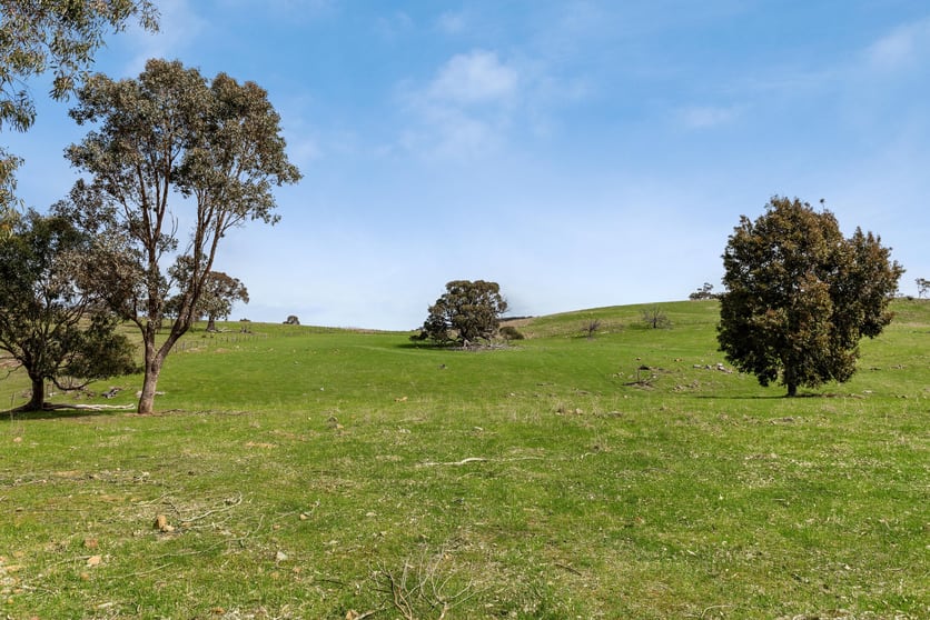 Click to view all images 505 Hardings Lane Tooborac VIC 3522 - Image 3