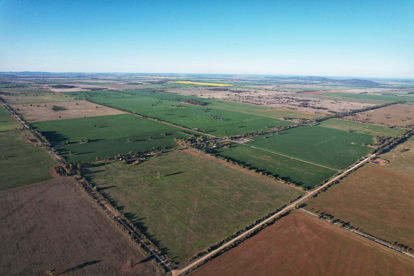 Click to view all images "The Gums" 962 Burkes Road Ootha NSW 2875 - Image 2